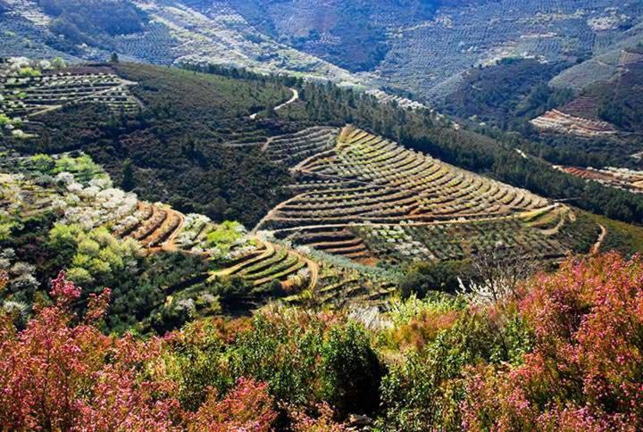 El Cerro Y El Cerezo Ferienhaus Navaconcejo