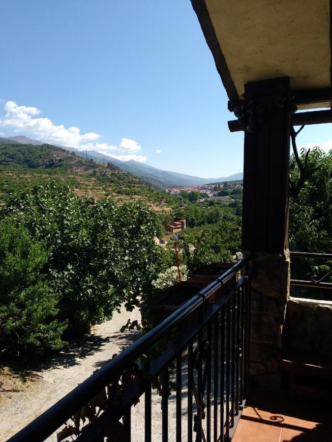 El Cerro Y El Cerezo Navaconcejo