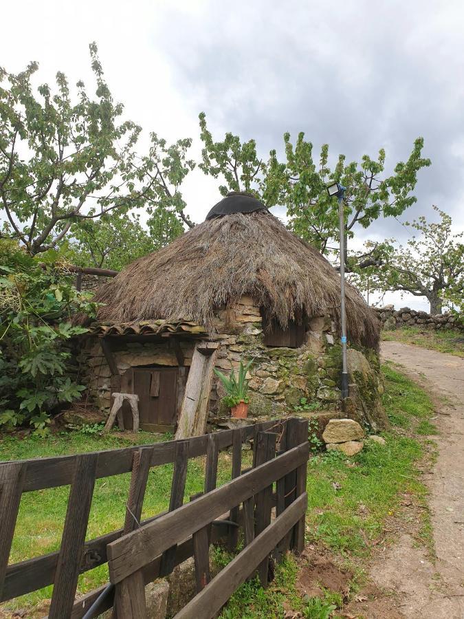 El Cerro Y El Cerezo Ferienhaus Navaconcejo
