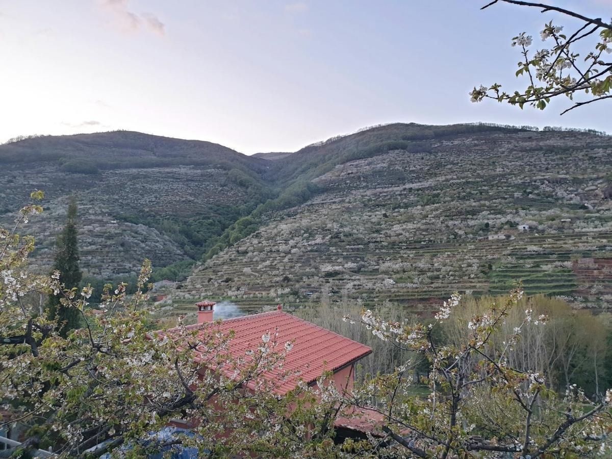 Ferienhaus El Cerro Y El Cerezo Navaconcejo